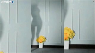 тачаангуй Сүүдэр